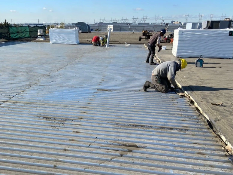 Roof maintenance and repair